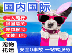 右旗巴丹吉林航空快运国际宠物托运 【国
